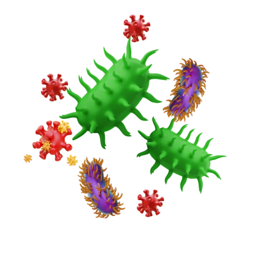 Ilustración de bacterias